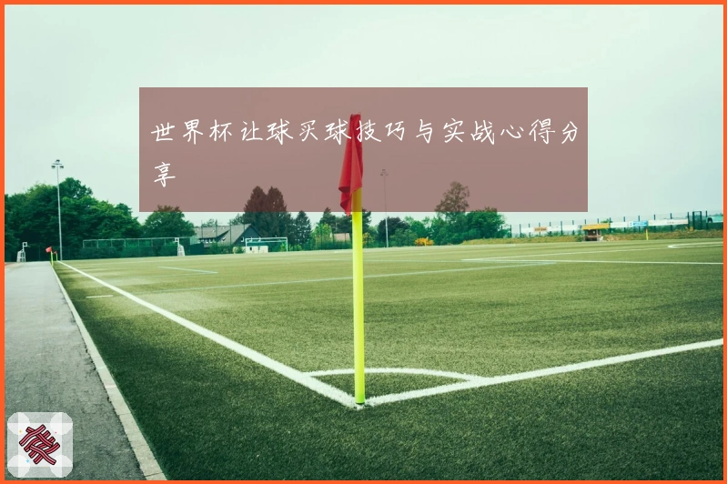 世界杯让球买球技巧与实战心得分享