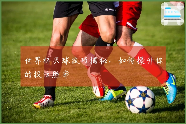 世界杯买球技巧揭秘，如何提升你的投注胜率
