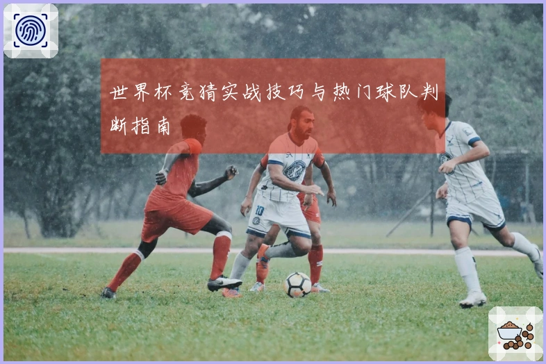 世界杯竞猜实战技巧与热门球队判断指南