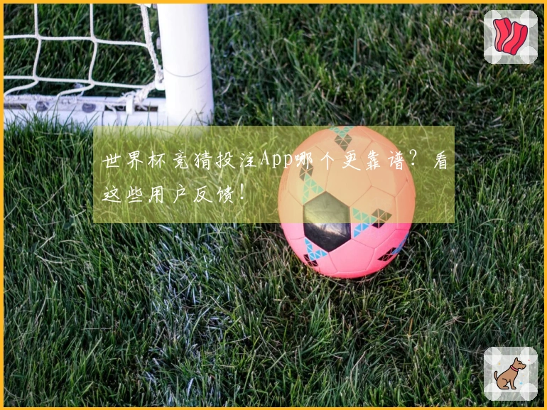 世界杯竞猜投注App哪个更靠谱？看这些用户反馈！