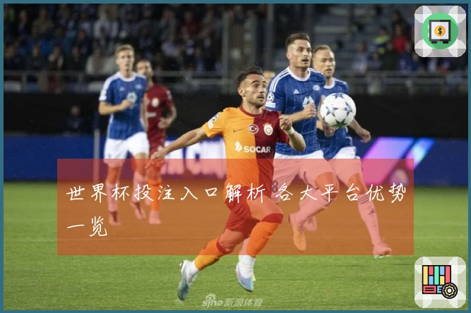 世界杯投注入口解析 各大平台优势一览