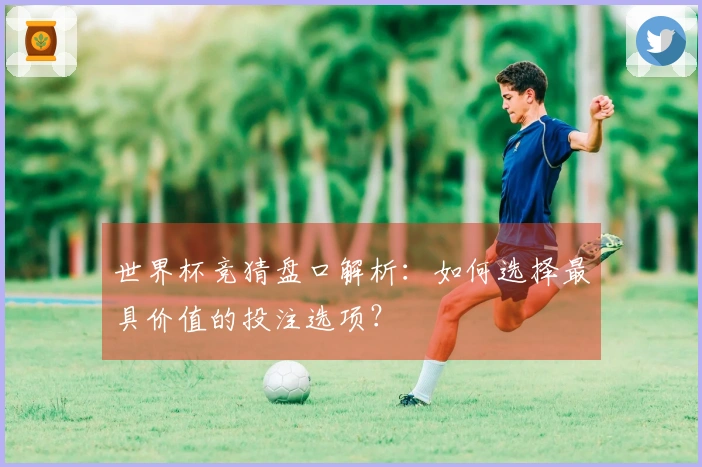 世界杯竞猜盘口解析：如何选择最具价值的投注选项？
