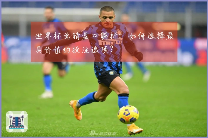 世界杯竞猜盘口解析：如何选择最具价值的投注选项？