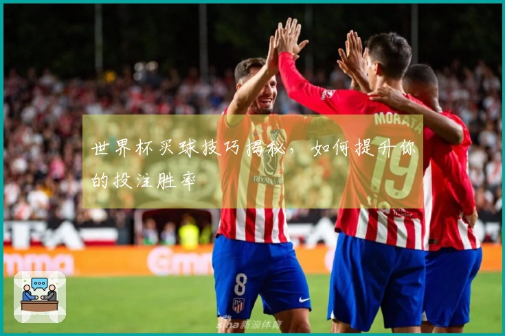 世界杯买球技巧揭秘，如何提升你的投注胜率
