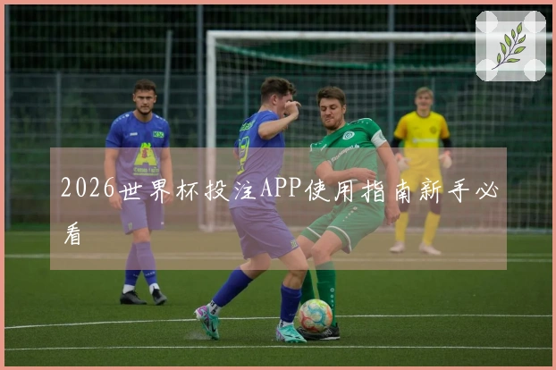 2026世界杯投注APP使用指南新手必看