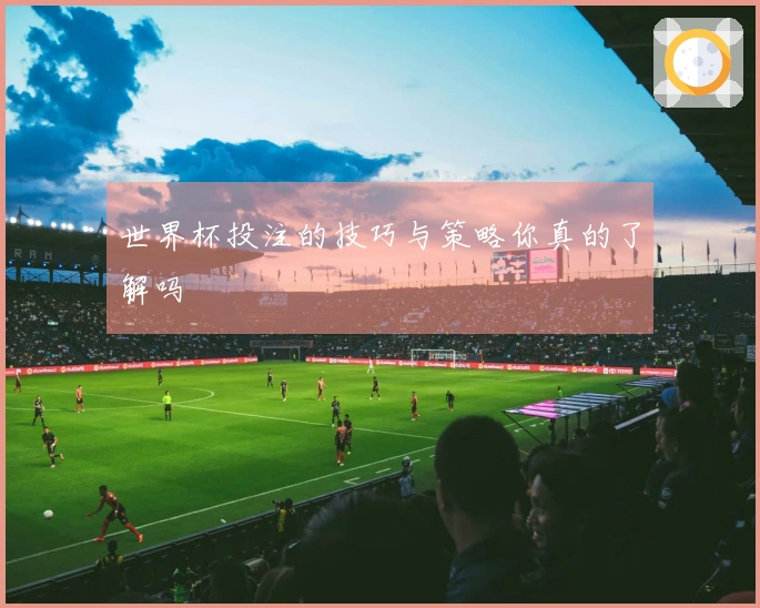 世界杯投注的技巧与策略你真的了解吗