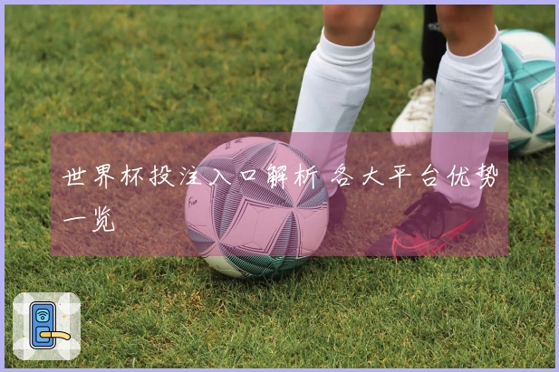 世界杯投注入口解析 各大平台优势一览