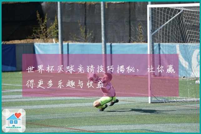 世界杯买球竞猜技巧揭秘，让你赢得更多乐趣与收益